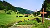 20030603-01buecherntal.jpg