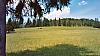 20030604-06Wiesen, Wälder und Rindviecher in dere Ferne.jpg