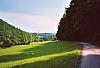 20030605-08Im Wollbachtal.jpg